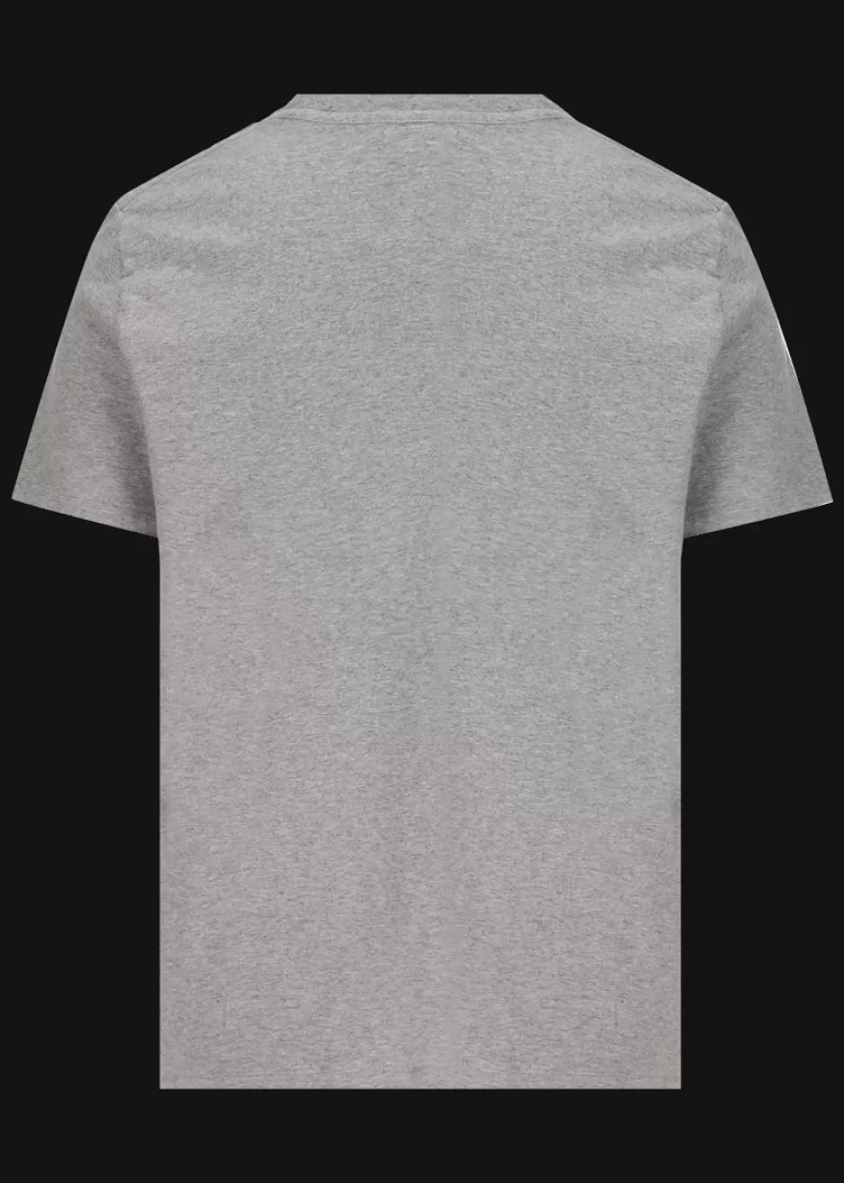 T-Shirt Mit Print Und Stickerei Ludolf>Luis Trenker Online
